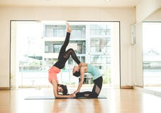 Utbildning och att öva för Asien folklivsstil som mediterar praktiserande är livsviktiga, yoga i grupprum fotografering för bildbyråer Utbildning och att öva för Asien folklivsstil som mediterar praktiserande är livsviktiga, yoga i grupprum fotografering för bildbyråer