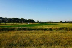 Landscape of Dutch grassy farmland at dusk stock photo Landscape of Dutch grassy farmland at dusk stock photo