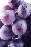 Uvas foto de stock royalty free
