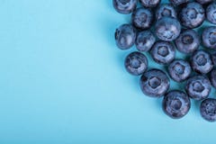Uvas-do-monte doces e suculentas Mirtilos em um fundo azul brilhante, vista superior Bagas sas e saborosos, close-up Fruto do ver imagens de stock Uvas-do-monte doces e suculentas Mirtilos em um fundo azul brilhante, vista superior Bagas sas e saborosos, close-up Fruto do ver imagens de stock