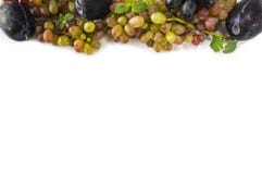 Uvas en el fondo blanco Uva, ciruelos y hojas de menta maduros en la frontera de la imagen con el espacio de la copia para el tex Imagen de archivo libre de regalías Uvas en el fondo blanco Uva, ciruelos y hojas de menta maduros en la frontera de la imagen con el espacio de la copia para el tex Imagen de archivo libre de regalías