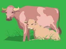 Vacas stock de ilustración Vacas stock de ilustración
