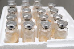 Vaccine vials