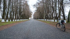 Vada in bicicletta sulla strada fra gli alberi, Poti, la Georgia immagini stock libere da diritti Vada in bicicletta sulla strada fra gli alberi, Poti, la Georgia immagini stock libere da diritti