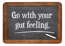 Vada con la vostra sensibilità di intestino immagini stock Vada con la vostra sensibilità di intestino immagini stock