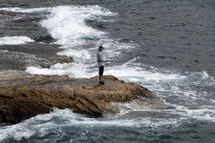 Vagga fiske nära den Bondi stranden arkivfoto Vagga fiske nära den Bondi stranden arkivfoto