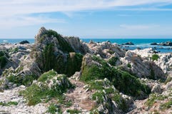 Vaggar på den Kaikoura halvögångbanan, Nya Zeeland Arkivbilder Vaggar på den Kaikoura halvögångbanan, Nya Zeeland Arkivbilder