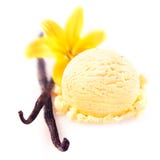 Vainas de la vainilla con helado fotografía de archivo libre de regalías Vainas de la vainilla con helado fotografía de archivo libre de regalías