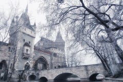 Vajdahunyad slott i Budapest, Ungern Royaltyfri Foto Vajdahunyad slott i Budapest, Ungern Royaltyfri Foto