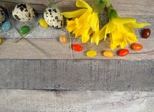 Vaktelägg med vårgarnering för easter med pingstliljan/påskliljor på träbakgrund royaltyfria bilder Vaktelägg med vårgarnering för easter med pingstliljan/påskliljor på träbakgrund royaltyfria bilder
