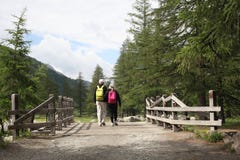 Val d`Aosta, Italy, July 4 2018: couple of elderly people view from behind walking on a wooden bridge on the mountain royalty free stock image Val d`Aosta, Italy, July 4 2018: couple of elderly people view from behind walking on a wooden bridge on the mountain royalty free stock image