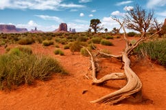 Vale do monumento Parque tribal do Navajo, EUA imagens de stock Vale do monumento Parque tribal do Navajo, EUA imagens de stock