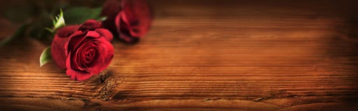 Valentindag med symboliska röda rosor arkivbild Valentindag med symboliska röda rosor arkivbild