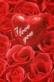 Valentine Royalty Free Stock Photo