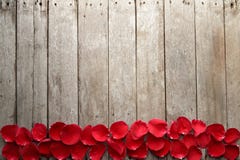 Valentine' s day background with petals of rose on wooden. Stock Photo Valentine' s day background with petals of rose on wooden. Stock Photo