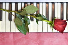 Pink Rose Piano Keys Stock Images - Download 63 Photos