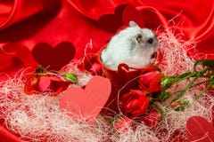 Valentinsgruß ` s Tagespostkarte in den roten Tönen mit einer Rose, Herzen Lizenzfreie Stockfotos Valentinsgruß ` s Tagespostkarte in den roten Tönen mit einer Rose, Herzen Lizenzfreie Stockfotos