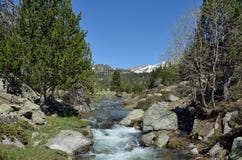 Vallée des montagnes avec un torrent glaciaire images stock Vallée des montagnes avec un torrent glaciaire images stock
