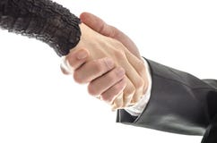 Van de bedrijfs man en van de vrouw handdruk royalty-vrije stock afbeeldingen Van de bedrijfs man en van de vrouw handdruk royalty-vrije stock afbeeldingen