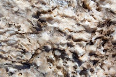 Van de de cursusdood van het duivelsgolf vormingen van de de Vallei de zoute klei stock foto Van de de cursusdood van het duivelsgolf vormingen van de de Vallei de zoute klei stock foto