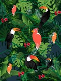 Van de palmbladenvogels van de de zomer het tropische banner vectorbeeld royalty-vrije illustratie Van de palmbladenvogels van de de zomer het tropische banner vectorbeeld royalty-vrije illustratie