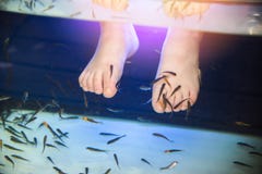 Van de voetenpedicures van kuuroordvissen van de de huidzorg de behandelingswater stock afbeeldingen Van de voetenpedicures van kuuroordvissen van de de huidzorg de behandelingswater stock afbeeldingen