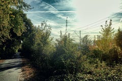 Van de de Weiderivier van Mannheim van de wegfiets van de de sportochtend van Neckar de openlucht de zonindustrie stock afbeelding Van de de Weiderivier van Mannheim van de wegfiets van de de sportochtend van Neckar de openlucht de zonindustrie stock afbeelding