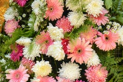 Van het bloemboeket mooie bloemen als achtergrond stock foto's Van het bloemboeket mooie bloemen als achtergrond stock foto's