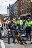 VANCOUVER, CANADA - February 18, 2018: Vancouver Police Department dog at Chinese New Year parade. Royalty Free Stock Images VANCOUVER, CANADA - February 18, 2018: Vancouver Police Department dog at Chinese New Year parade. Royalty Free Stock Images
