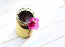 Vanille panna Cotta mit Schokoladenso?e, italienischer Nachtisch stockfotografie Vanille panna Cotta mit Schokoladenso?e, italienischer Nachtisch stockfotografie
