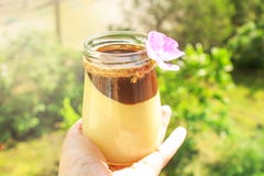 Vanille panna Cotta mit Schokoladenso?e, italienischer Nachtisch lizenzfreies stockfoto Vanille panna Cotta mit Schokoladenso?e, italienischer Nachtisch lizenzfreies stockfoto