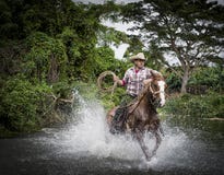 Vaqueiro, Trinidad, Cuba