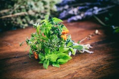 Variety of herbs on wooden background stock photos Variety of herbs on wooden background stock photos