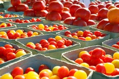 Variety of Tomatoes at Outside Farmer's Market Stock Photography Variety of Tomatoes at Outside Farmer's Market Stock Photography