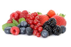 Various Berries Stock Photography Various Berries Stock Photography