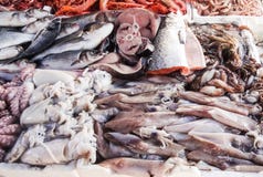 Various seafood and fish in a market royalty free stock photos Various seafood and fish in a market royalty free stock photos