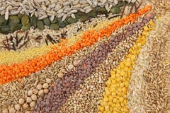 Various Seeds And Grains Royalty Free Stock Image Various Seeds And Grains Royalty Free Stock Image