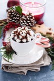 Varm choklad för jul med festliga garneringar arkivbild Varm choklad för jul med festliga garneringar arkivbild