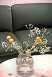 Vases with flowers and green sofa royalty free stock image Vases with flowers and green sofa royalty free stock image