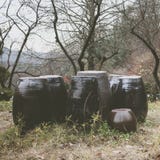 Vasilhas de barro tradicionais coreanas imagens de stock Vasilhas de barro tradicionais coreanas imagens de stock