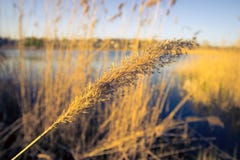 Vasser i aftonen, solnedgång arkivfoton Vasser i aftonen, solnedgång arkivfoton