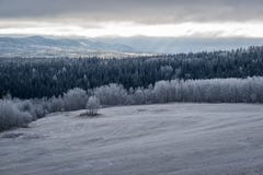 Canadian Winter Mood - Vaste Land stock photos Canadian Winter Mood - Vaste Land stock photos