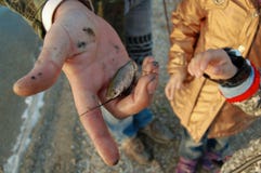 Vater zeigt Kindern einen kleinen Fisch lizenzfreies stockbild Vater zeigt Kindern einen kleinen Fisch lizenzfreies stockbild