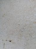 Vecchio fondo in bianco e nero della parete del pavimento di colore del cemento immagini stock libere da diritti Vecchio fondo in bianco e nero della parete del pavimento di colore del cemento immagini stock libere da diritti