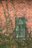 Vecchio muro di mattoni di struttura, modello dettagliato coperto in edera fotografie stock libere da diritti Vecchio muro di mattoni di struttura, modello dettagliato coperto in edera fotografie stock libere da diritti