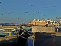 Vecchio porto di Essaouira nel Marocco immagini stock Vecchio porto di Essaouira nel Marocco immagini stock