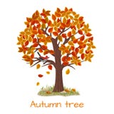 Vecteur d'arbre d'automne illustration de vecteur Vecteur d'arbre d'automne illustration de vecteur