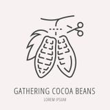 Vecteur Logo Template Gathering Cocoa Beans simple illustration libre de droits Vecteur Logo Template Gathering Cocoa Beans simple illustration libre de droits