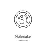 Vecteur moléculaire d'icône de collection de gastronomie Ligne mince illustration mol?culaire de vecteur d'ic?ne d'ensemble Conto illustration de vecteur Vecteur moléculaire d'icône de collection de gastronomie Ligne mince illustration mol?culaire de vecteur d'ic?ne d'ensemble Conto illustration de vecteur