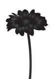 Vector abstract zwart bloemsilhouet royalty-vrije illustratie Vector abstract zwart bloemsilhouet royalty-vrije illustratie